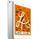 iPad mini Wi-Fi 256GB - Argento