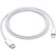 Cavo Apple da USB‑C a Lightning (1 m)