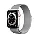 Apple Watch Serie 6 GPS + Cellular - Cassa in Acciaio Inossidabile Argento con Loop in Maglia Milanese Argento - 44mm