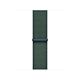 Cinturino 42mm Sport Loop - Verde Lago